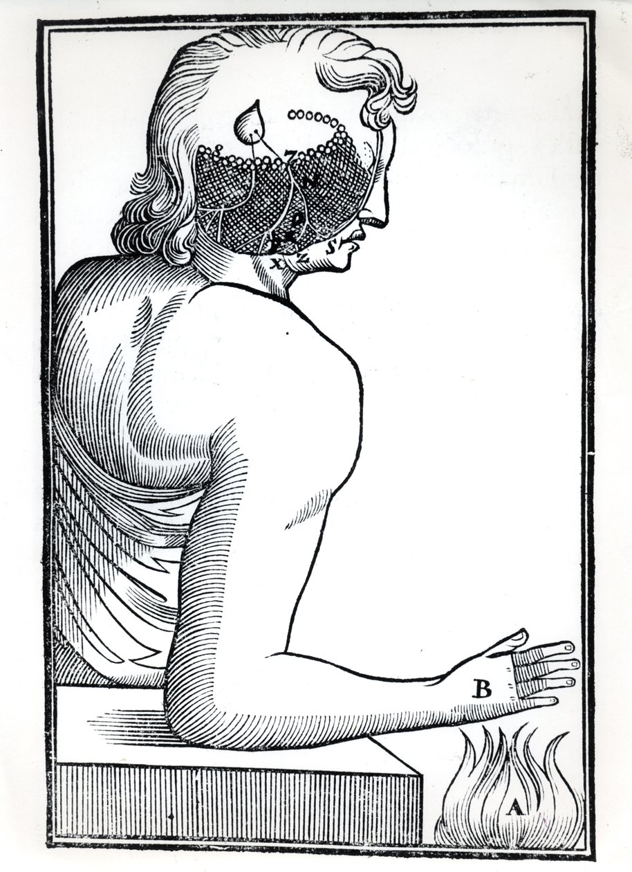 Vnímání smyslů, z De Homine Figuris od René Descartese (1596-1650), vydané v Amsterdamu, 1677 od Dutch School