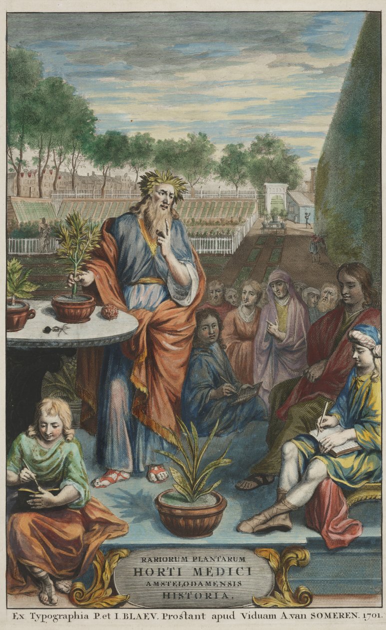 Titulní strana z knihy "Horti Medici Amstelodamensis Rariorum Plantarum Historia", díl II, autor Jan Commelin a Caspar Commelin od Dutch School