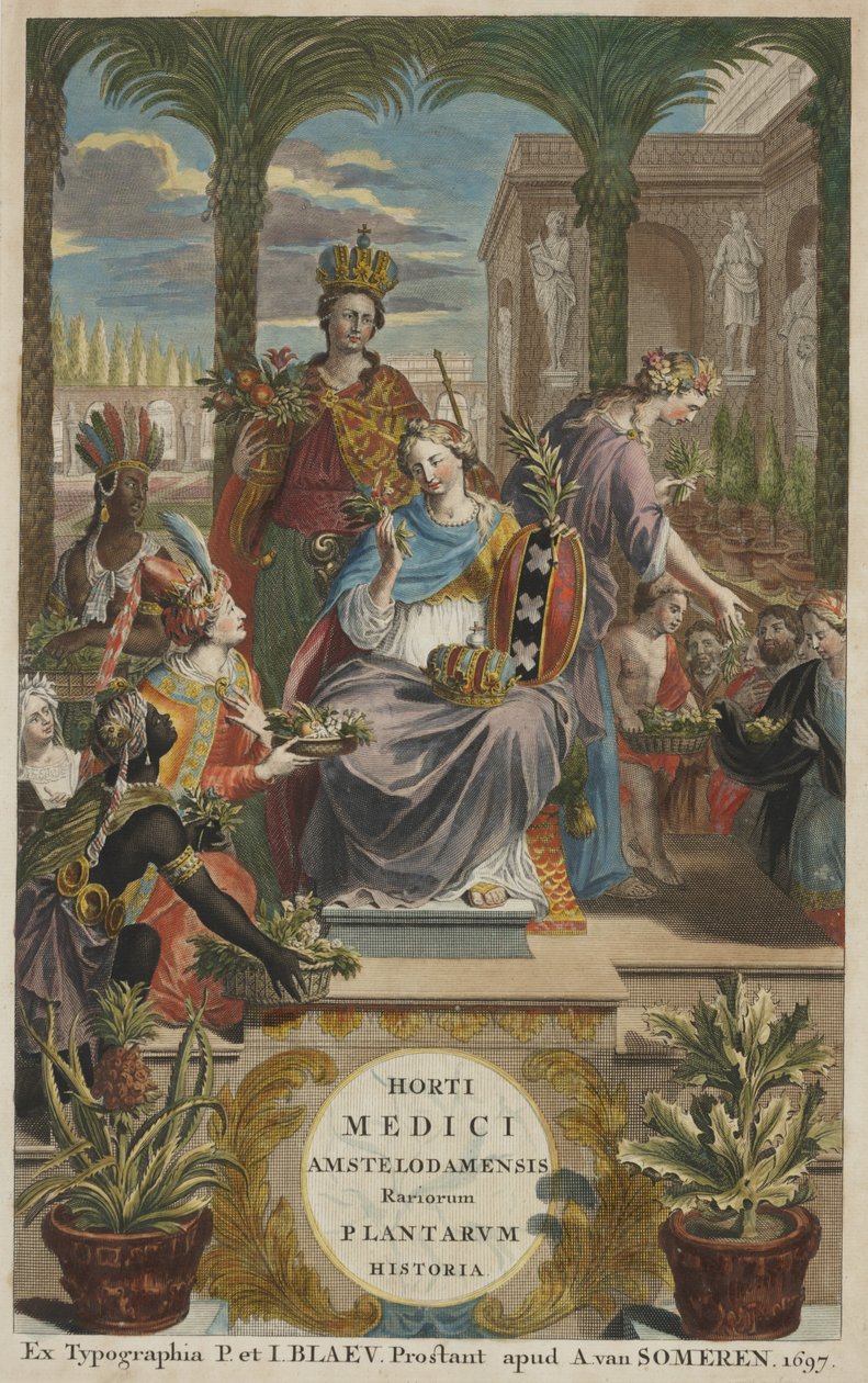 Titulní strana z knihy "Horti Medici Amstelodamensis Rariorum Plantarum Historia", díl I, autor Jan Commelin od Dutch School