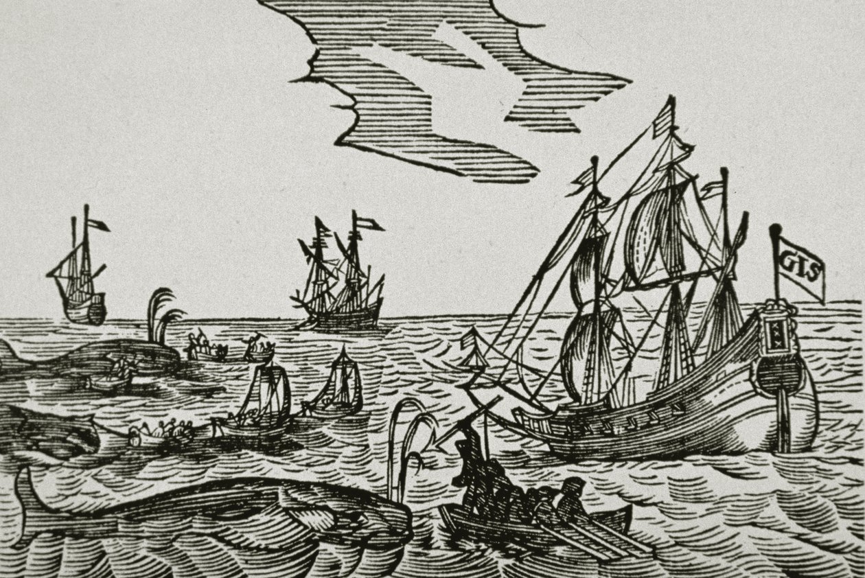Velrybářské lodě z „Journael“ Jacoba Segersze van der Brugge od Dutch School
