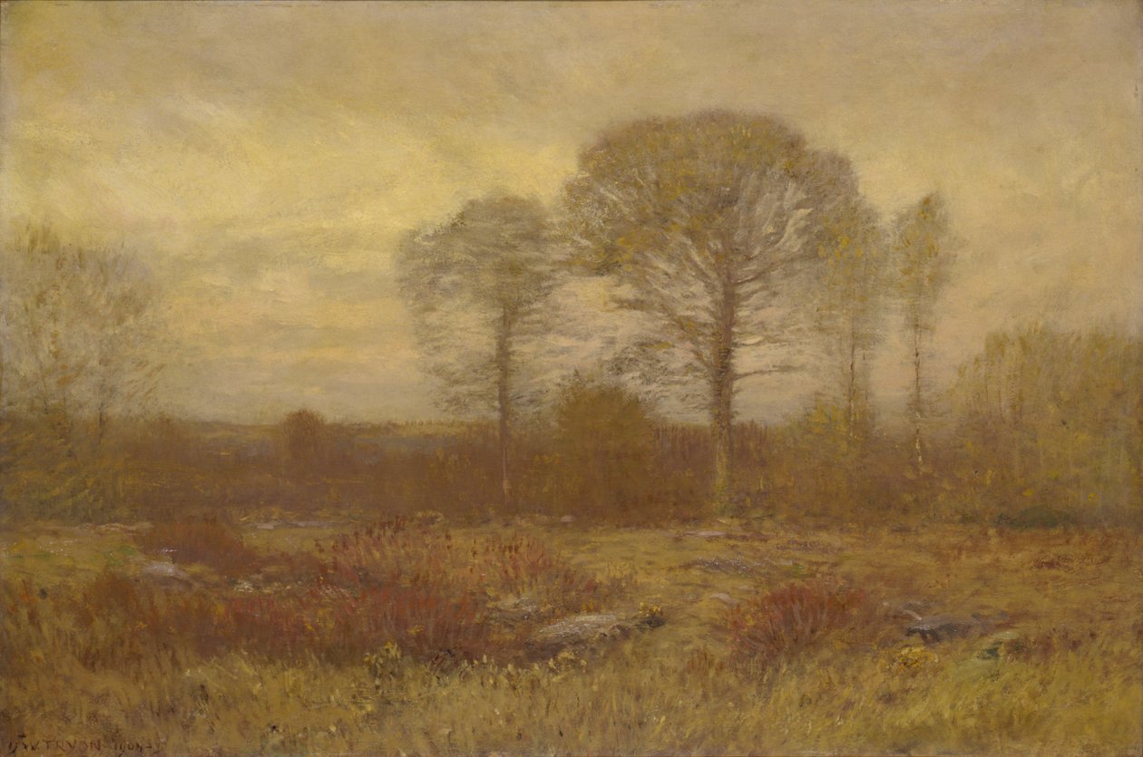 listopadu 1904-1905. od Dwight William Tryon