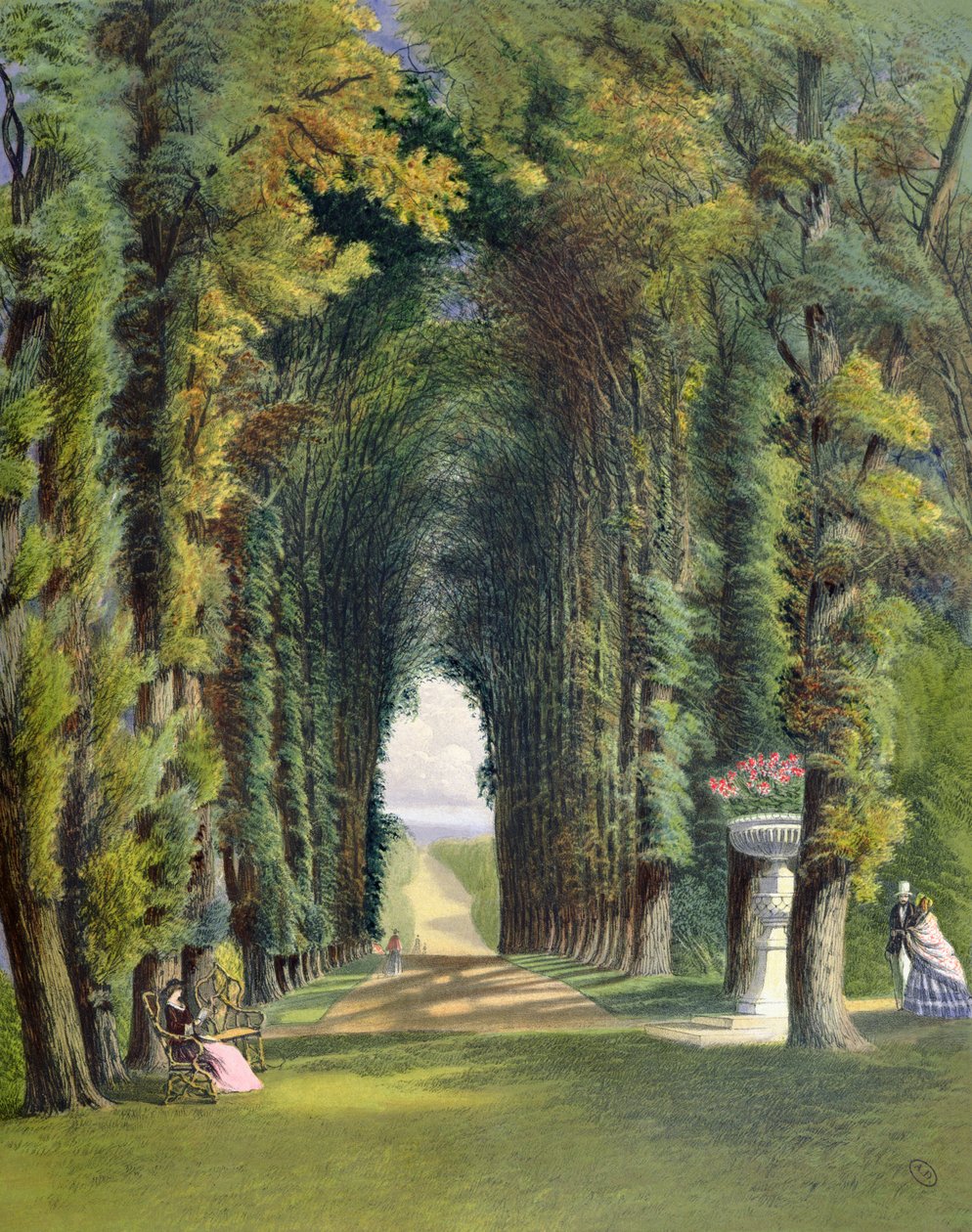 Vista in the Gardens of Teddesley, z 