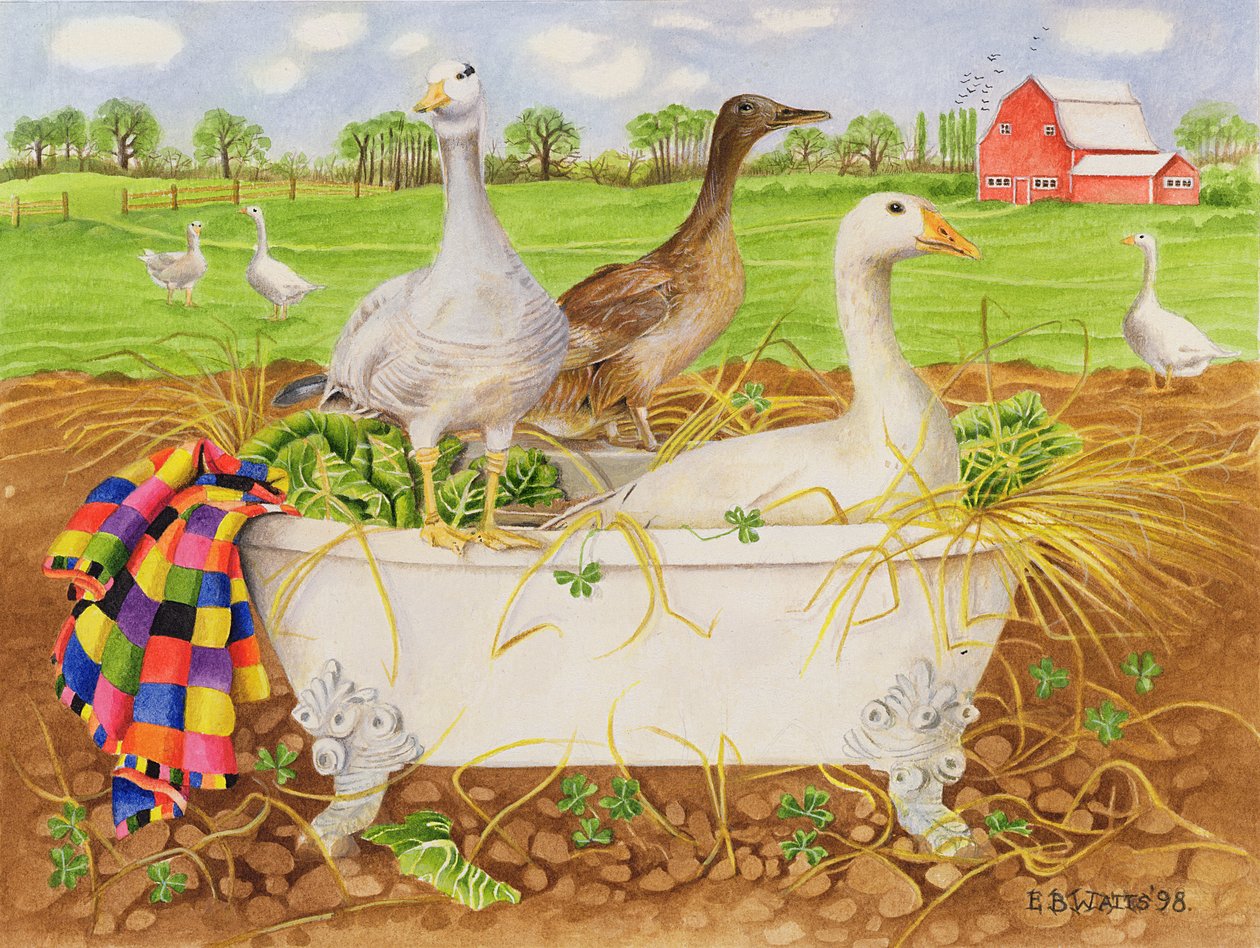 Husy ve vaně, 1998 (akryl na papíře) od E.B. Watts