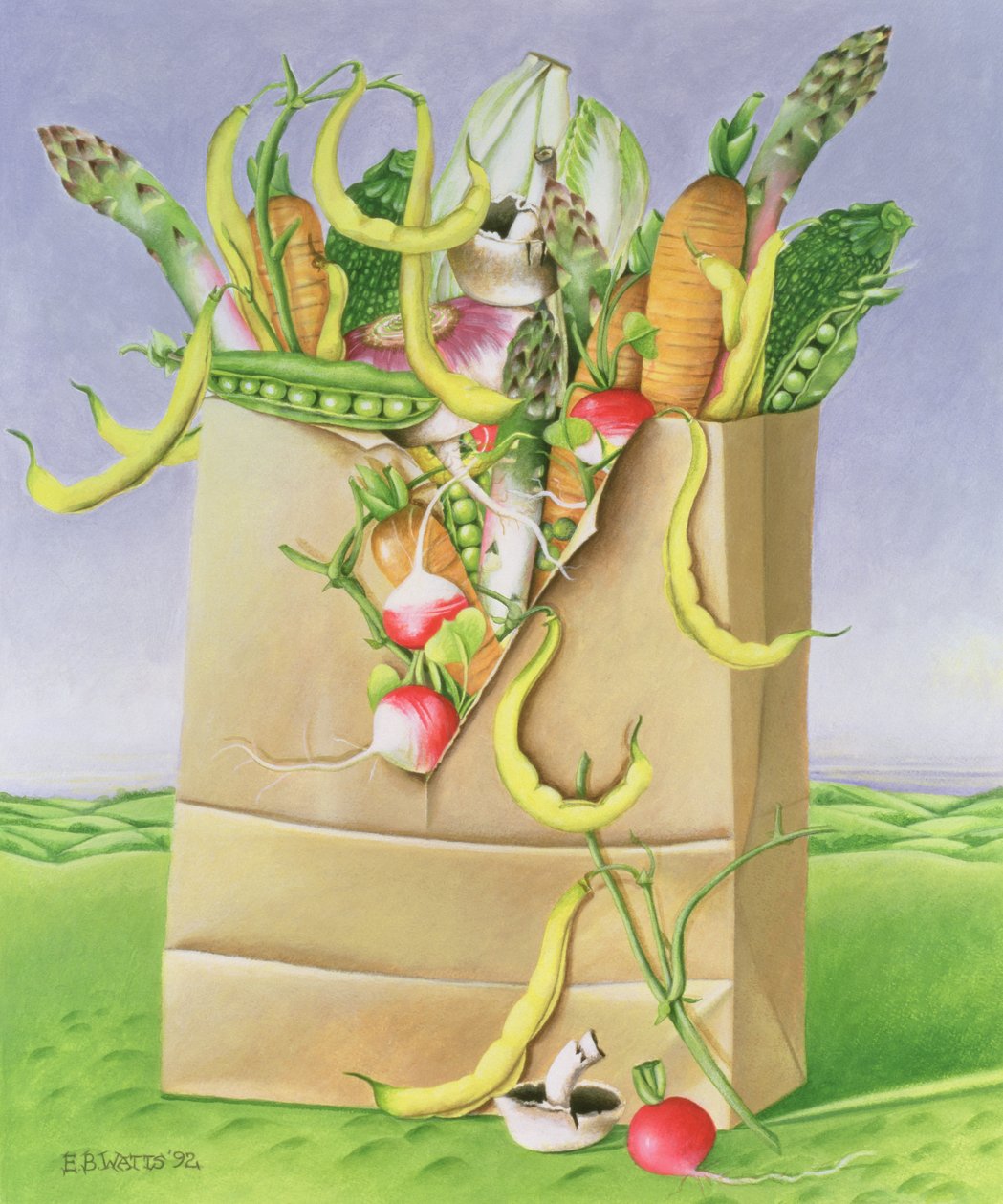Papírový sáček se zeleninou, 1992 (akryl) od E.B. Watts
