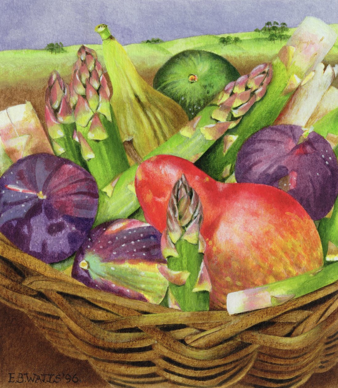 Červená hruška s fíky a chřestem, 1996 (akryl na papíře) od E.B. Watts