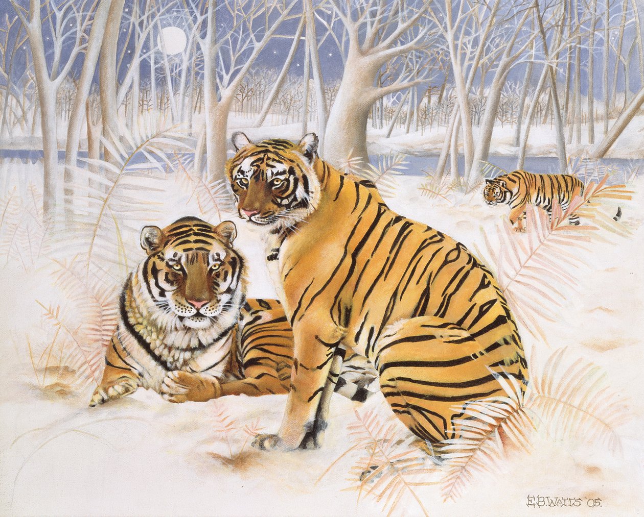 Tygři ve sněhu, 2005 (akryl na plátně) od E.B. Watts