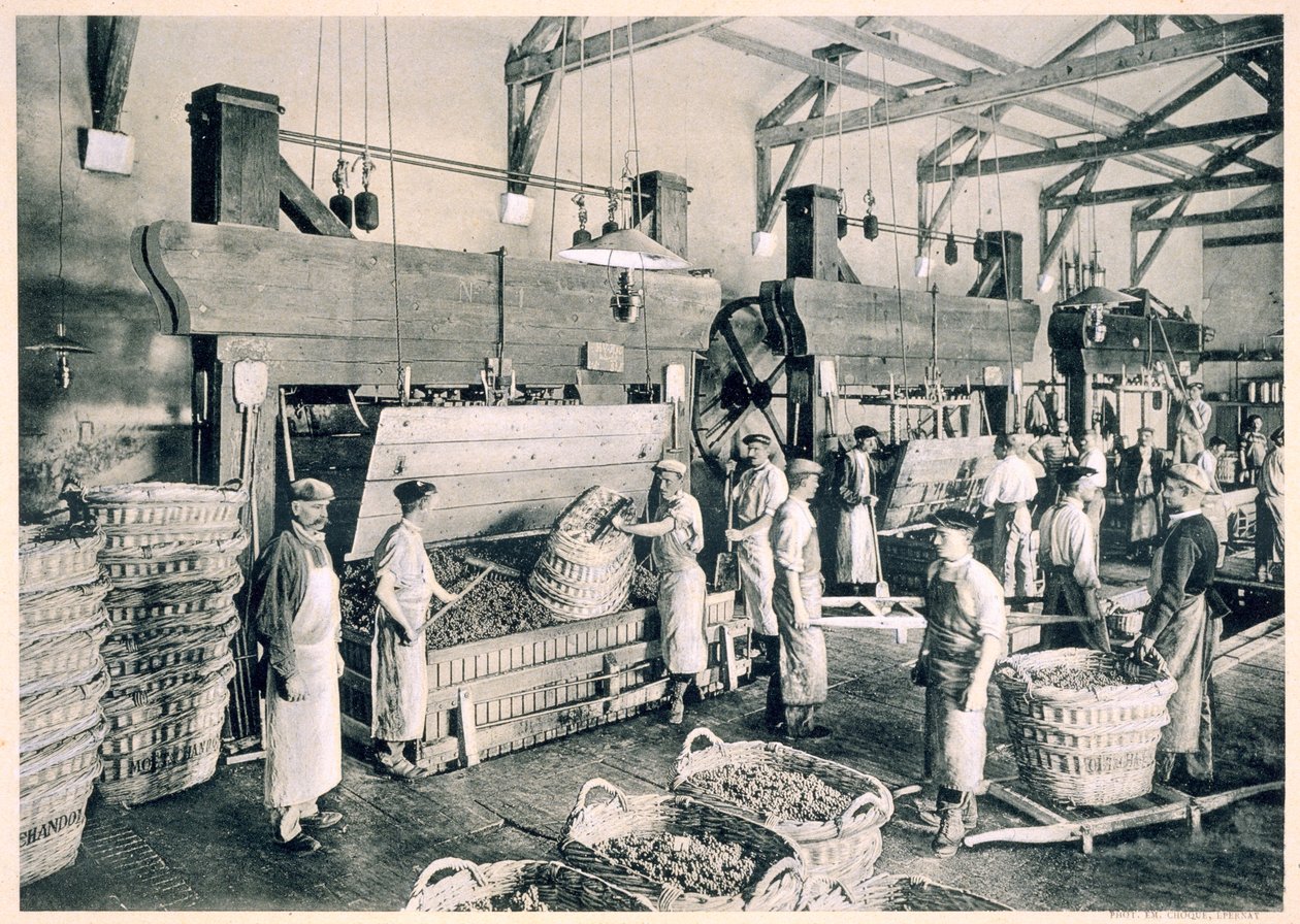 Sbírání hroznů do košů, z publikace "Le France Vinicole", vydavatelství Moet und Chandon, Epernay (fotolitografie) od E.M. Choque