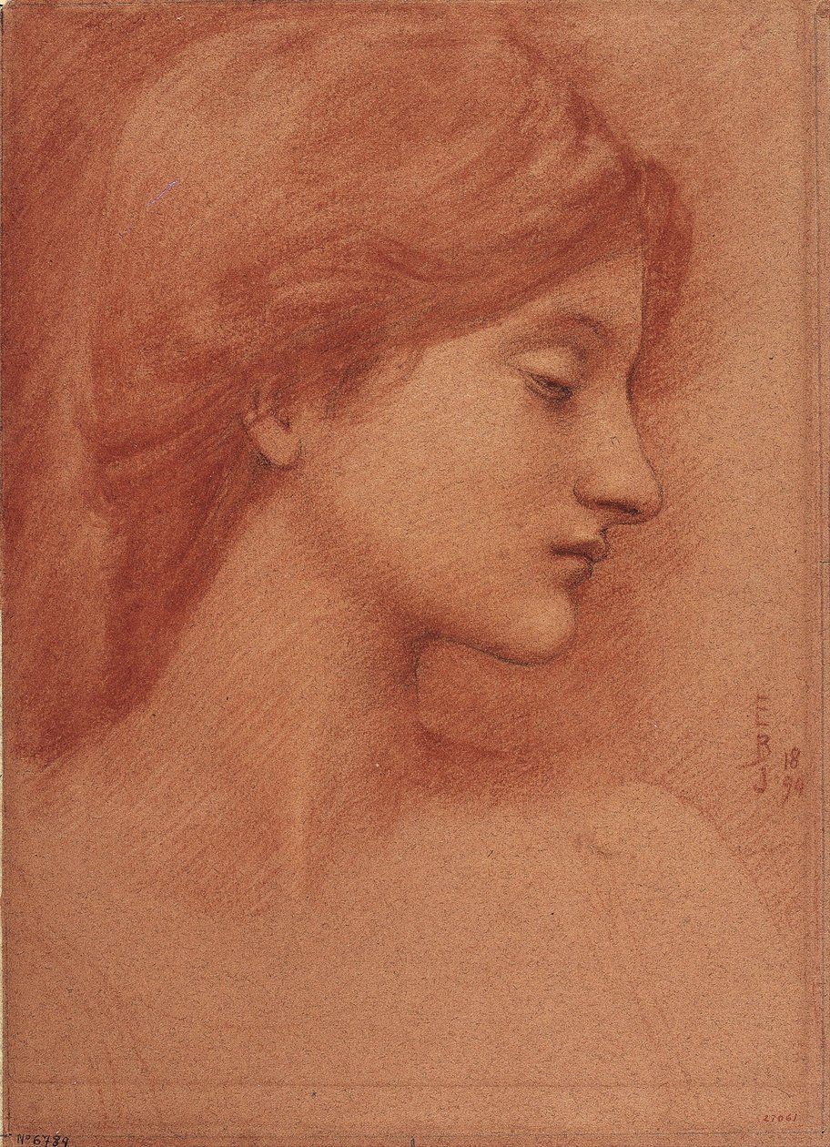 Female Head - Dessin od Sir Edward Coley Burne Jones (Burne-Jones) (1833-1898) - 1894 - Sangvinik a křída na papíře - 38,4x27,7 - Museu Nacional d