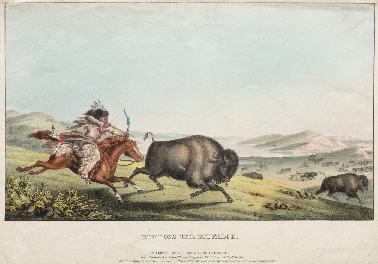 Lov buvolů od E. C. Biddle