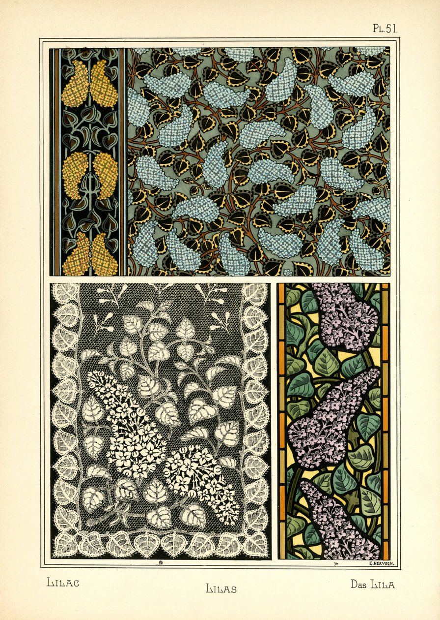 Lilas od E. Hervegh