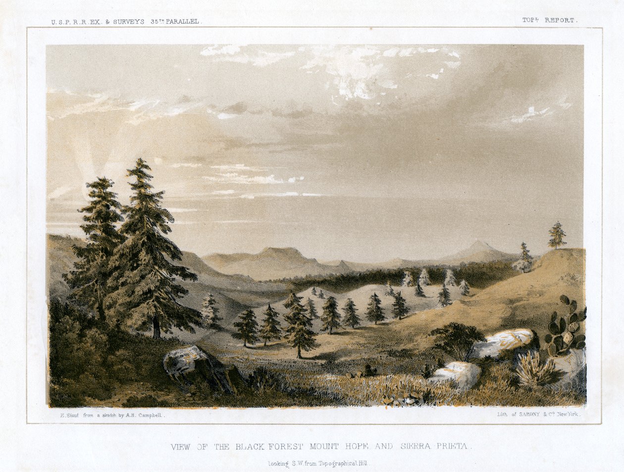 Černý les Mount Hope a Sierra Prieta, USA, 1856. od E Stout