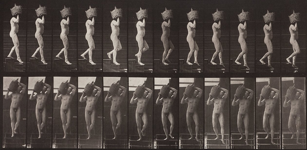 Animal Locomotion, talíř 136 od Eadweard Muybridge