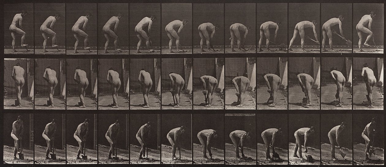 Animal Locomotion, talíř 388 od Eadweard Muybridge