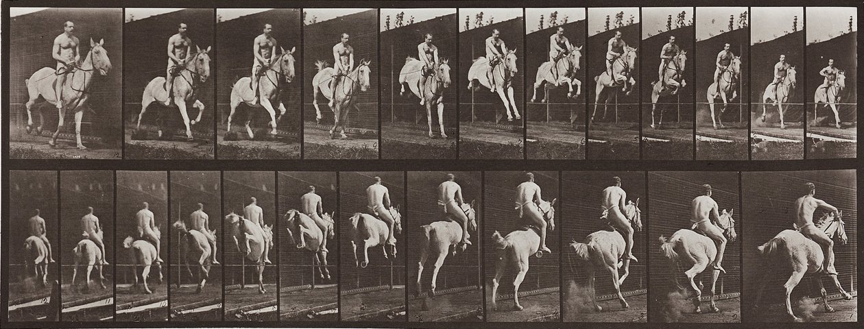 Animal Locomotion, talíř 646 od Eadweard Muybridge
