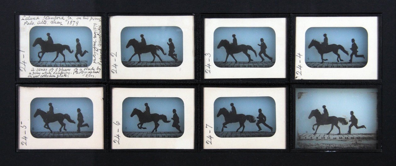 Leland Stanford Jr. na svém Pony Gypsy od Eadweard Muybridge