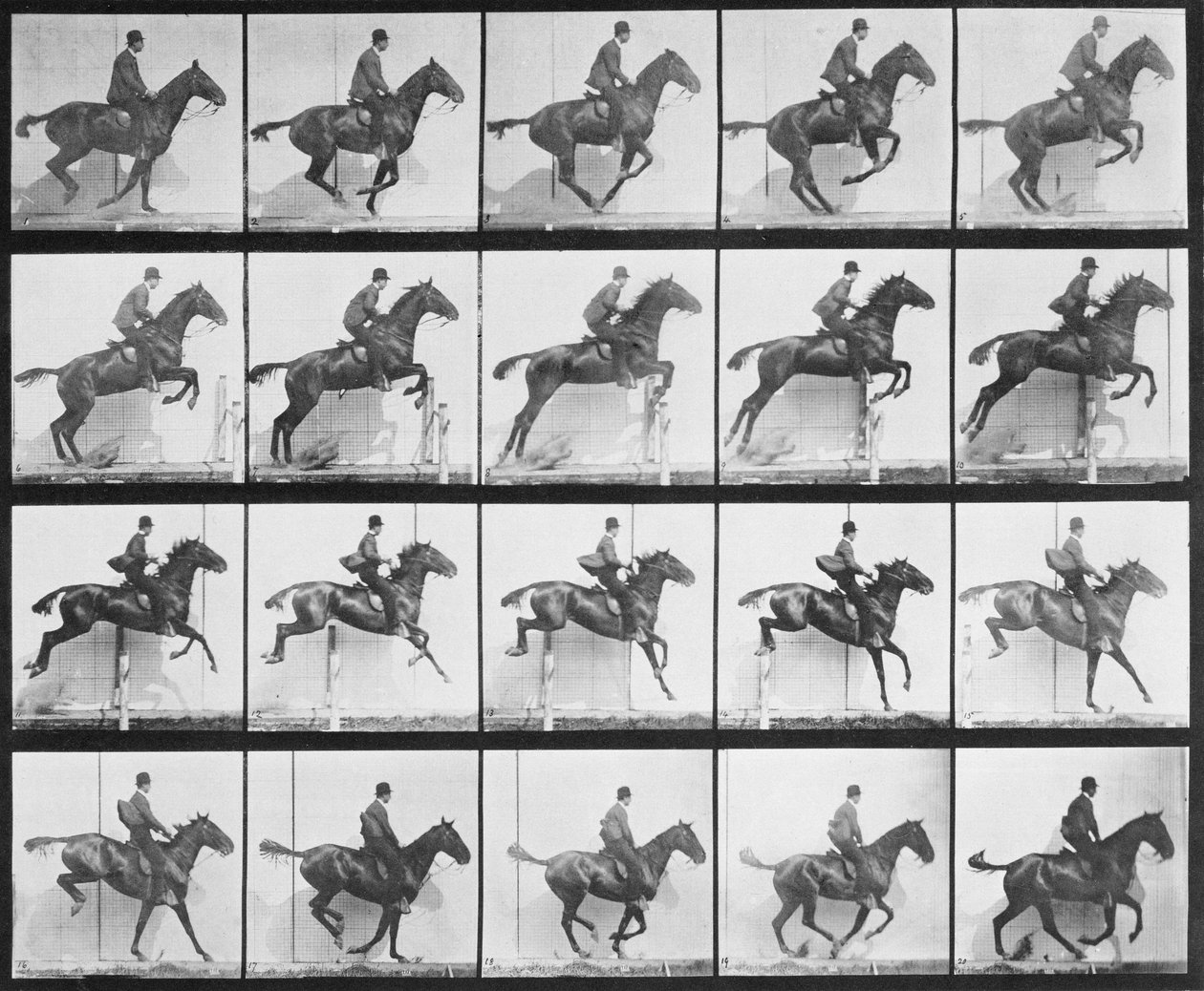 Muž a kůň skákající přes plot, deska 640 z knihy "Animal Locomotion", 1887 od Eadweard Muybridge
