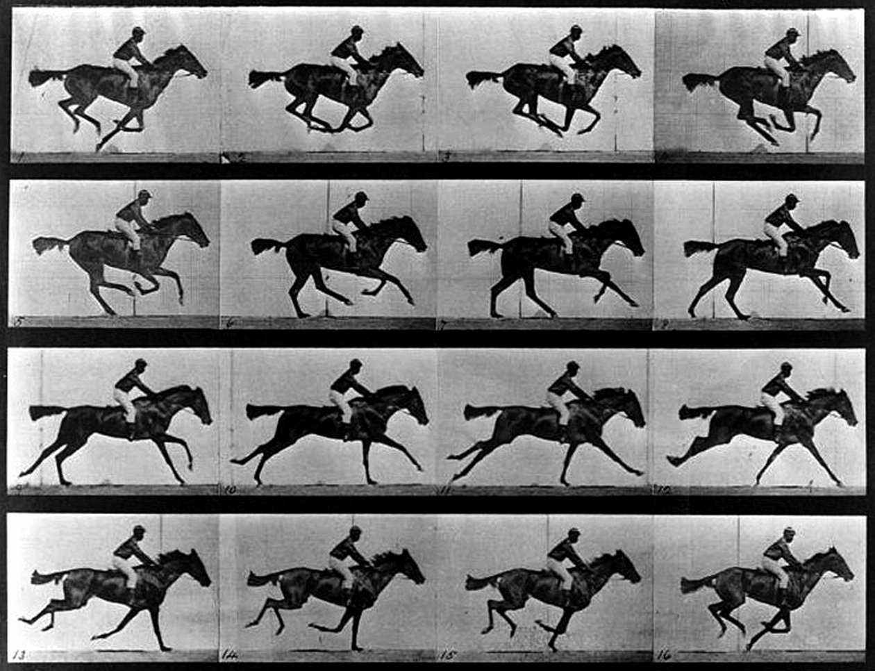 Sekvenční fotografie od Eadweard Muybridge