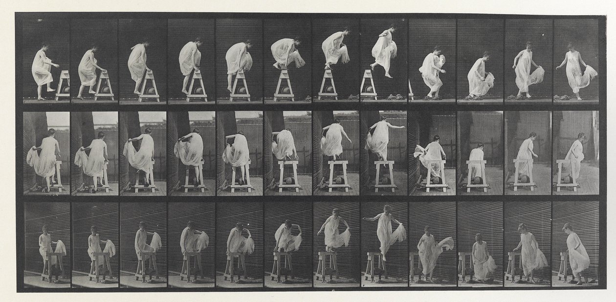 Destička pro pohyb zvířat od Eadweard Muybridge