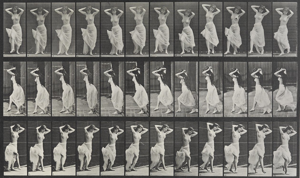 Destička pro pohyb zvířat 190 od Eadweard Muybridge