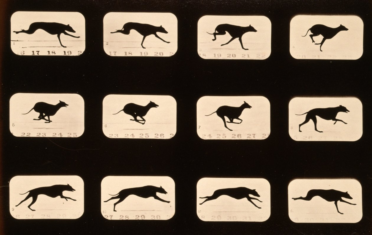 Greyhound, běžící seriál 