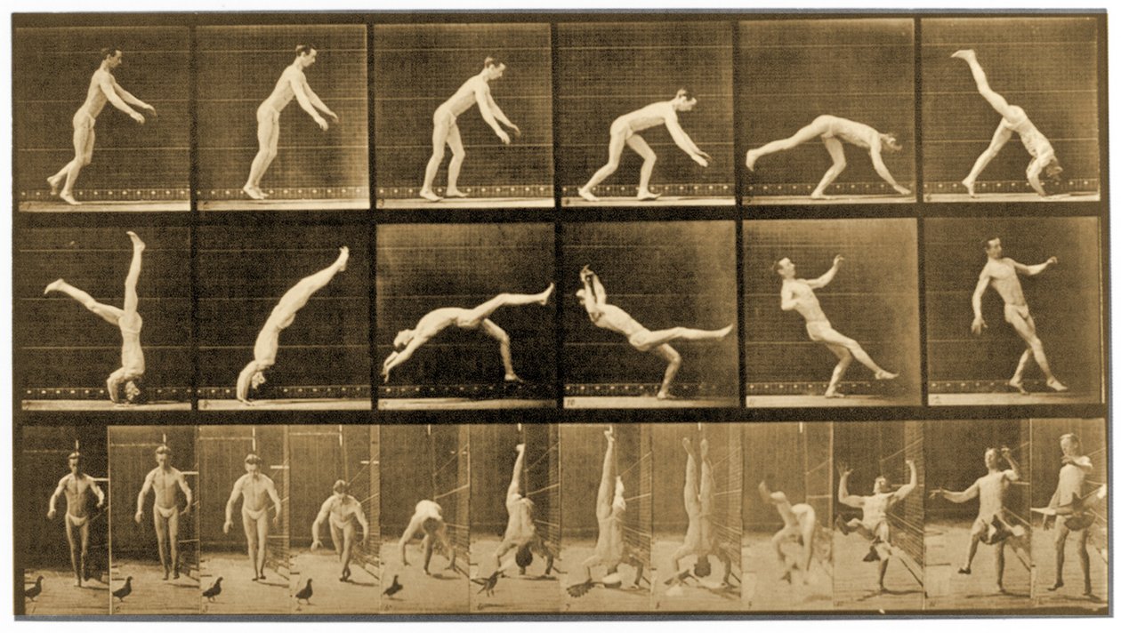Deska ze série "Animal Locomotion", cca 1887 od Eadweard Muybridge