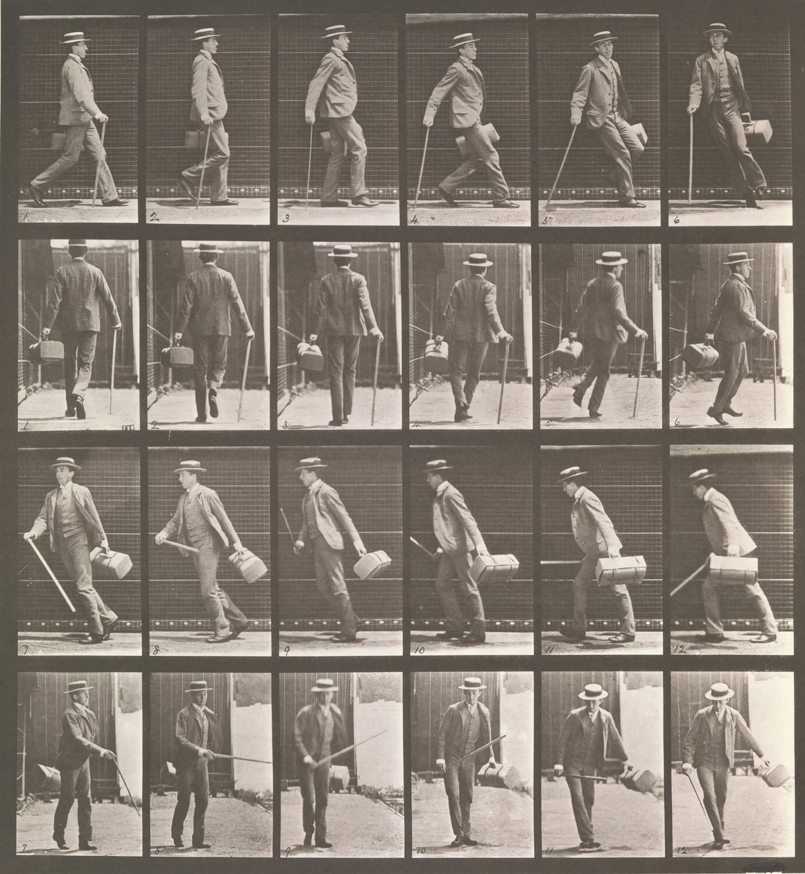 Pohyb zvířat. Elektrofotografické zkoumání... pohybů zvířat. Začátek..., 80. léta 19. století. od Eadweard Muybridge