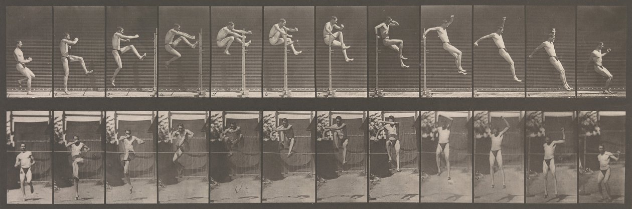 Pohyb zvířat. Elektrofotografické zkoumání po sobě jdoucích fází zvířete ..., 80. léta 19. století. od Eadweard Muybridge