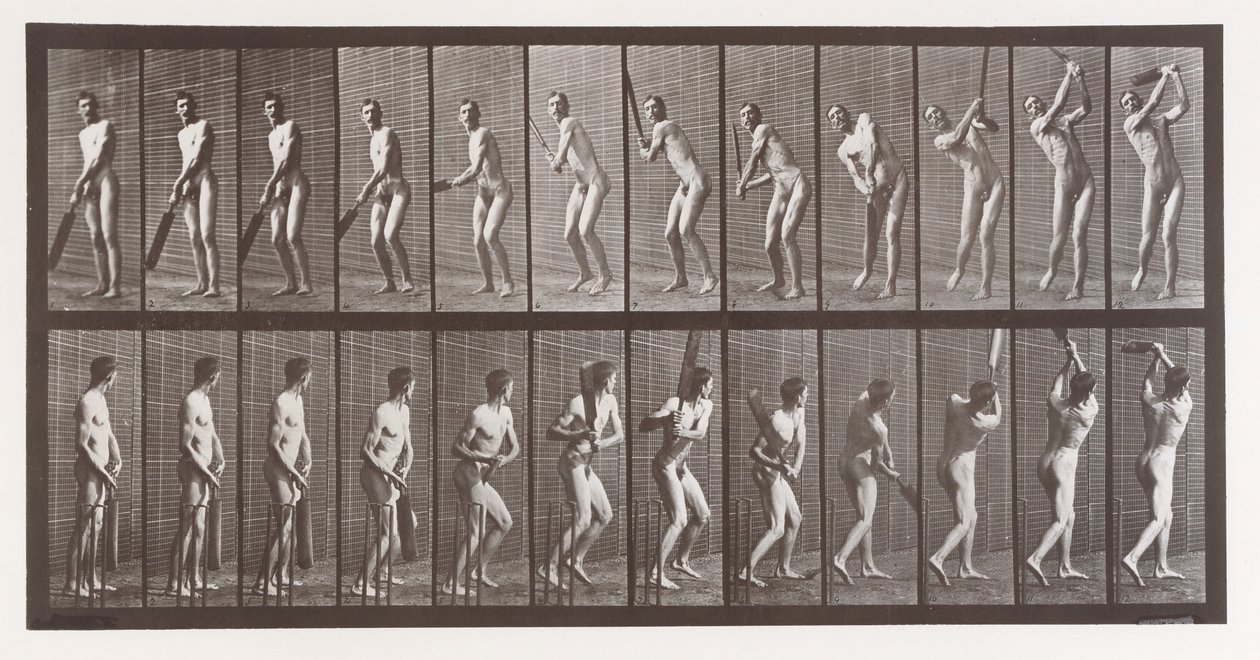 Pohyb zvířat. Elektrofotografické zkoumání po sobě jdoucích fází zvířete ..., 80. léta 19. století. od Eadweard Muybridge