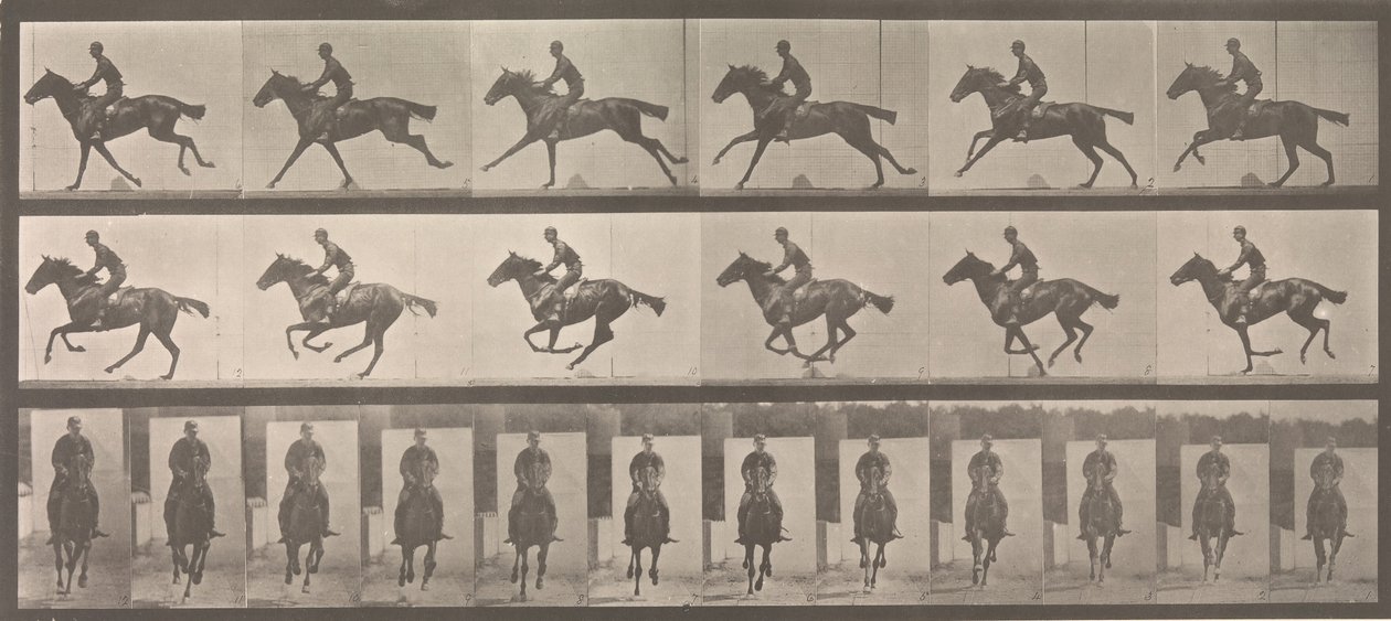[Kůň a jezdec cválající], 1883-86, vytištěno 1887. od Eadweard Muybridge
