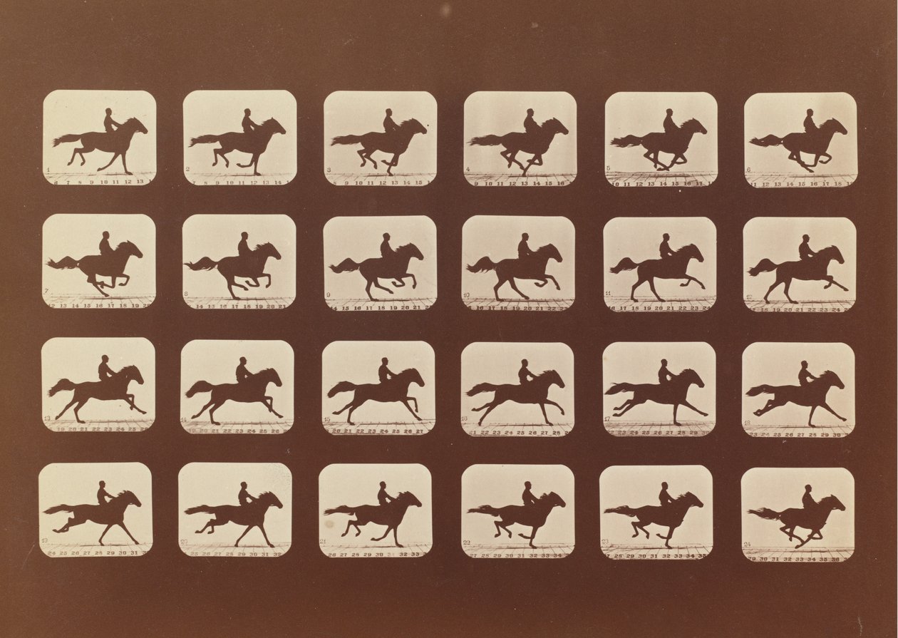 Koně. Běh. Phyrne L. č. 40, 1879. od Eadweard Muybridge