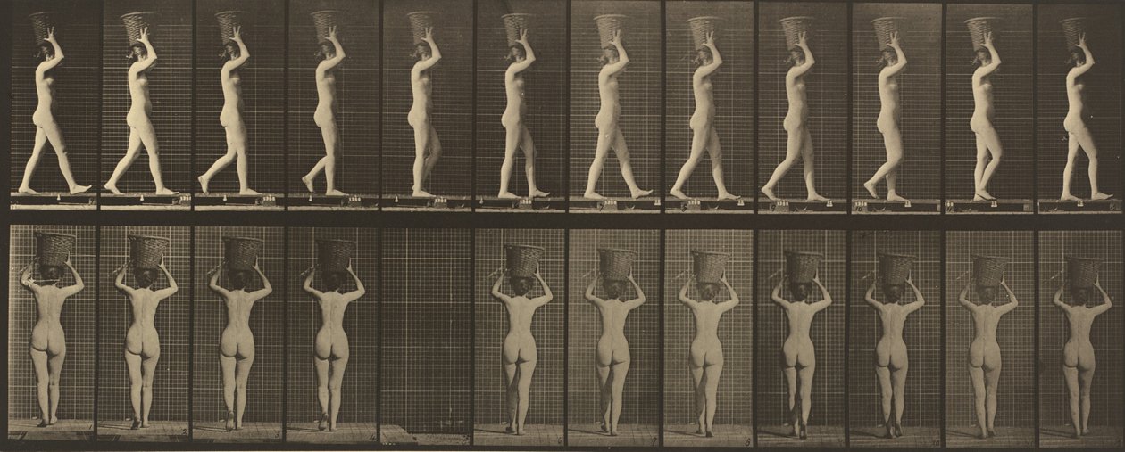 Talíř číslo 34. Chůze a nošení 15-lb. košík na hlavě, ruce zdvižené, 1887. od Eadweard Muybridge