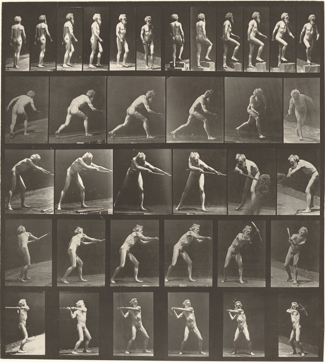 Číslo desky 521. A: Chůze. B: Vzestupný krok. C. Vrhací disk. D: Pomocí lopaty..., 1887. od Eadweard Muybridge