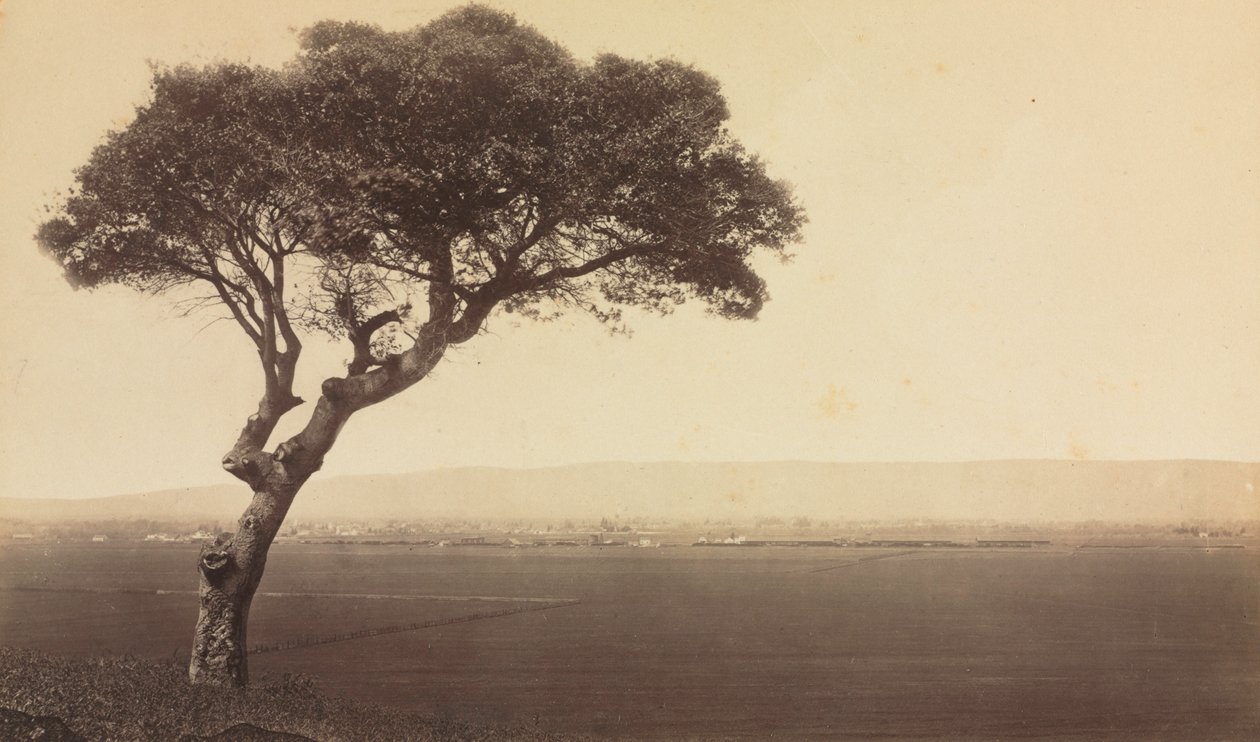 Krajina bez názvu poblíž Watsonville, Kalifornie, c. 1879. od Eadweard Muybridge