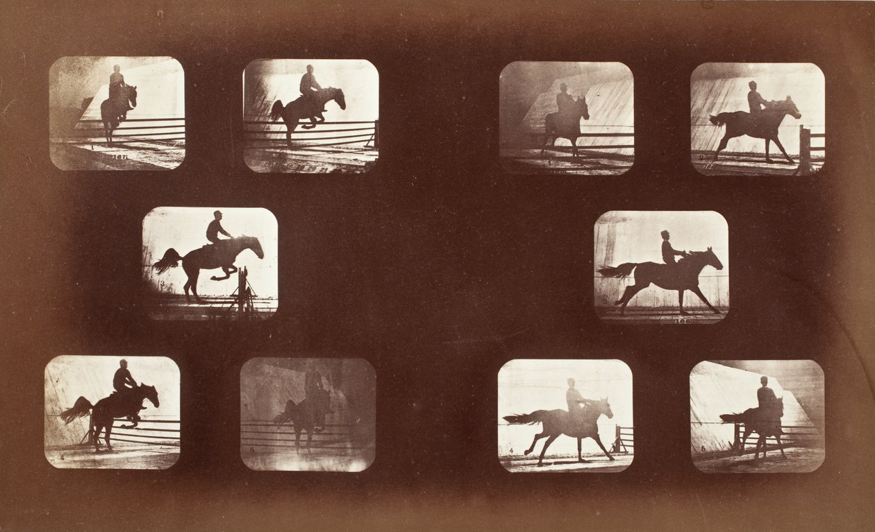 Pohyb zvířat (muž na koni přes překážky) od Eadweard Muybridge