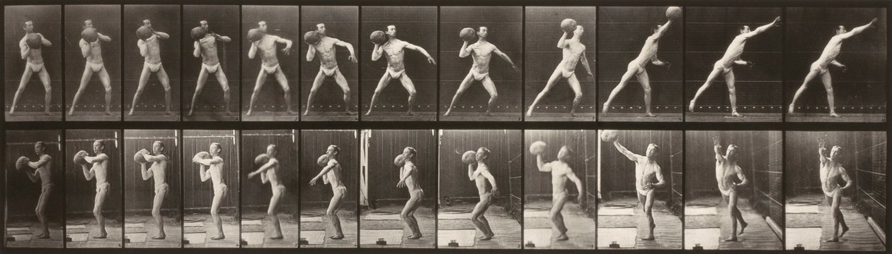 Pohyb zvířat (deska 319) (Muž házející míč) od Eadweard Muybridge