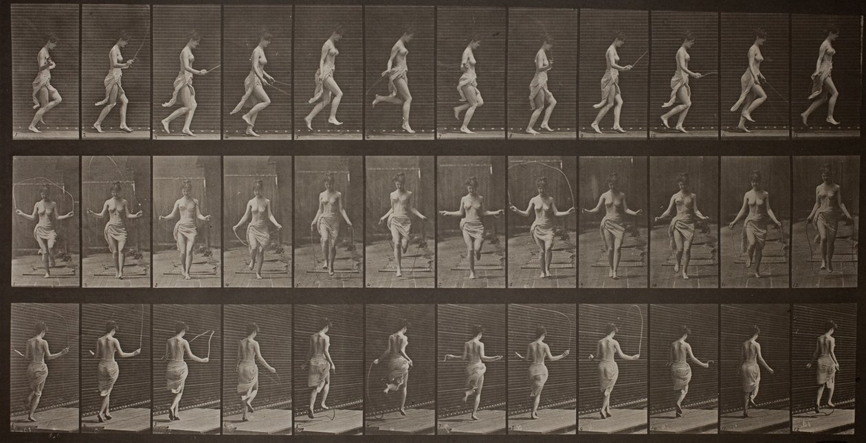 Pohyb zvířat, deska 174 od Eadweard Muybridge