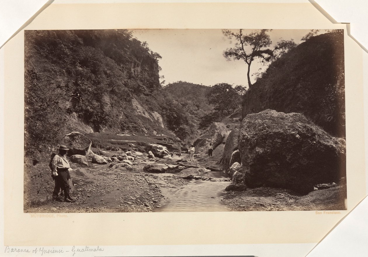 Barranca of Ynsiensi, Guatemala od Eadweard Muybridge