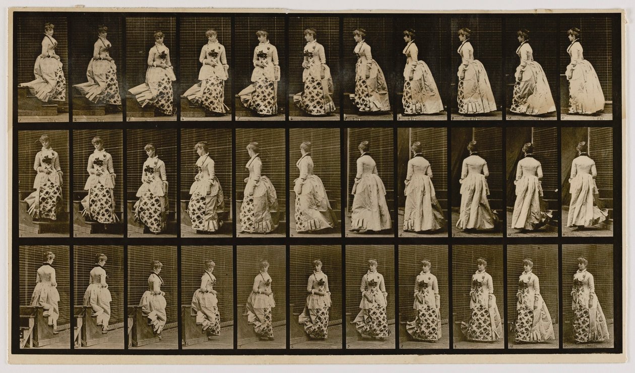 Sestupování ze schodů a otáčení, z knihy Pohyb zvířat od Eadweard Muybridge