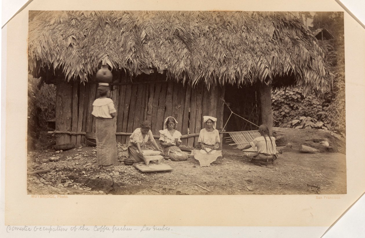 Domácí zaměstnání sběračů kávy, Las Nubes, Guatemala od Eadweard Muybridge