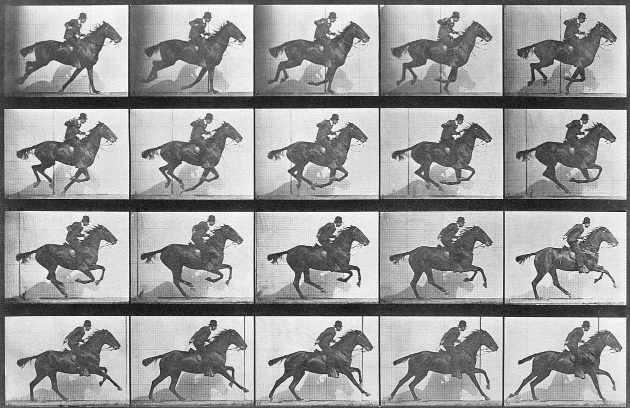 Cválající kůň, deska 628 z knihy "Animal Locomotion", 1887 od Eadweard Muybridge
