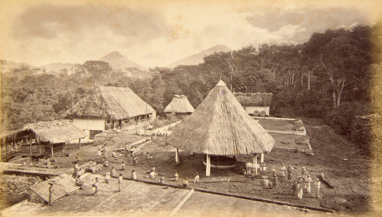 Hacienda William Nelson, San Isidro, Guatemala od Eadweard Muybridge