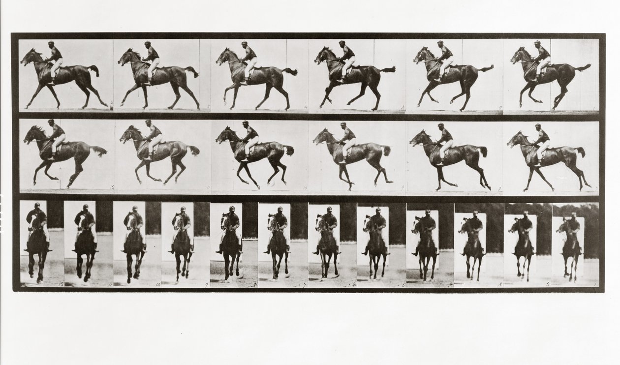 Kůň a jezdec, deska 621 od Animal Locomotion, 1887 od Eadweard Muybridge