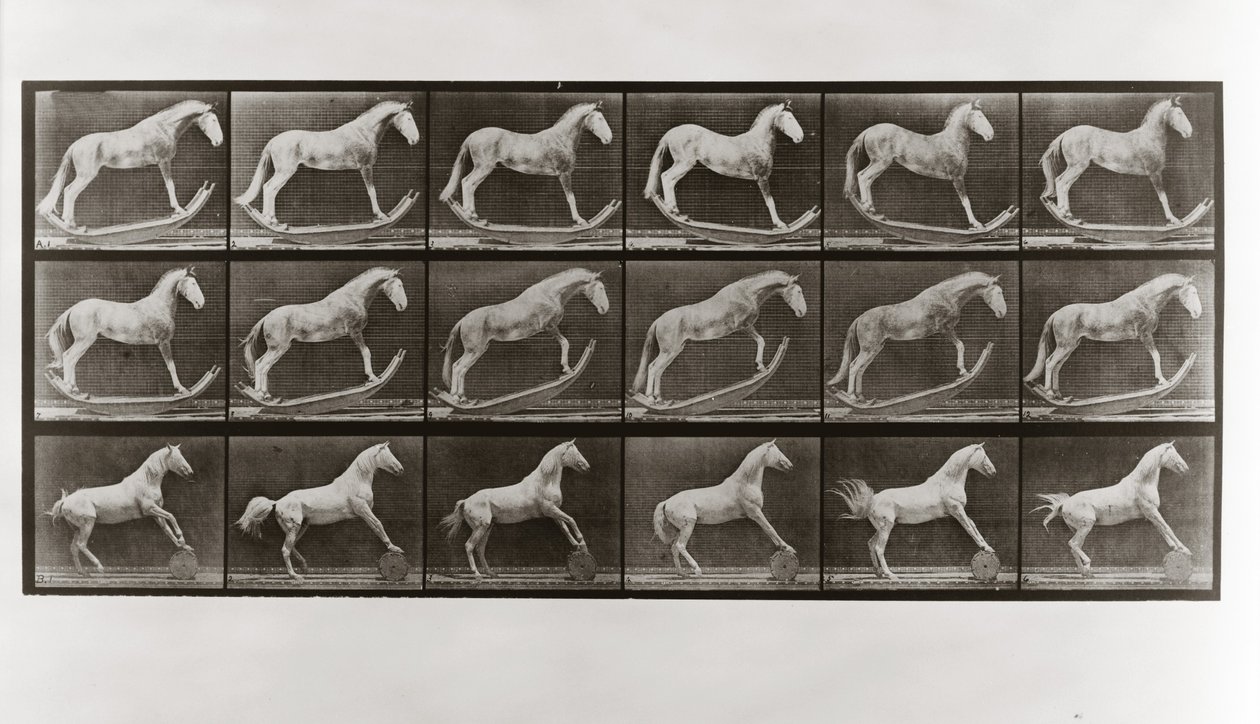 Kůň na houpačkách a kůň valící sud, deska 649 od Animal Locomotion, 1887 od Eadweard Muybridge