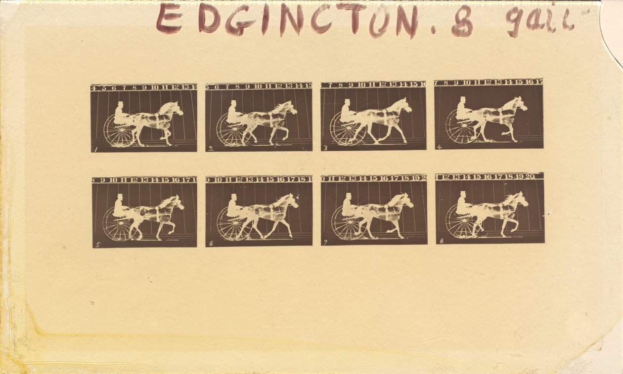 Internegativní pro koně. Klusání. Abe Edgington. č. 28 od Eadweard Muybridge