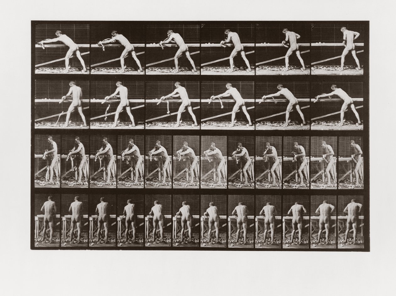 Muž hoblující dřevo, Deska 379 od Animal Locomotion, 1887 od Eadweard Muybridge