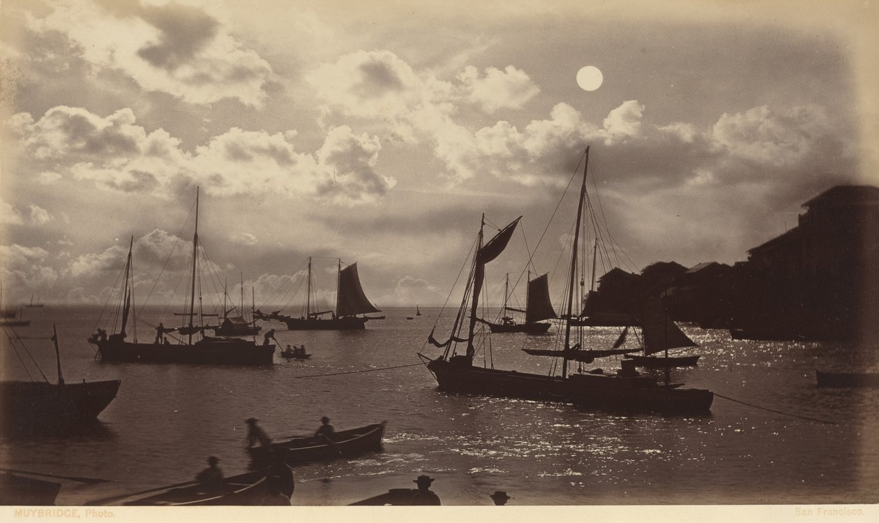 Efekt měsíčního svitu - Panamský záliv,1877 (foto) od Eadweard Muybridge