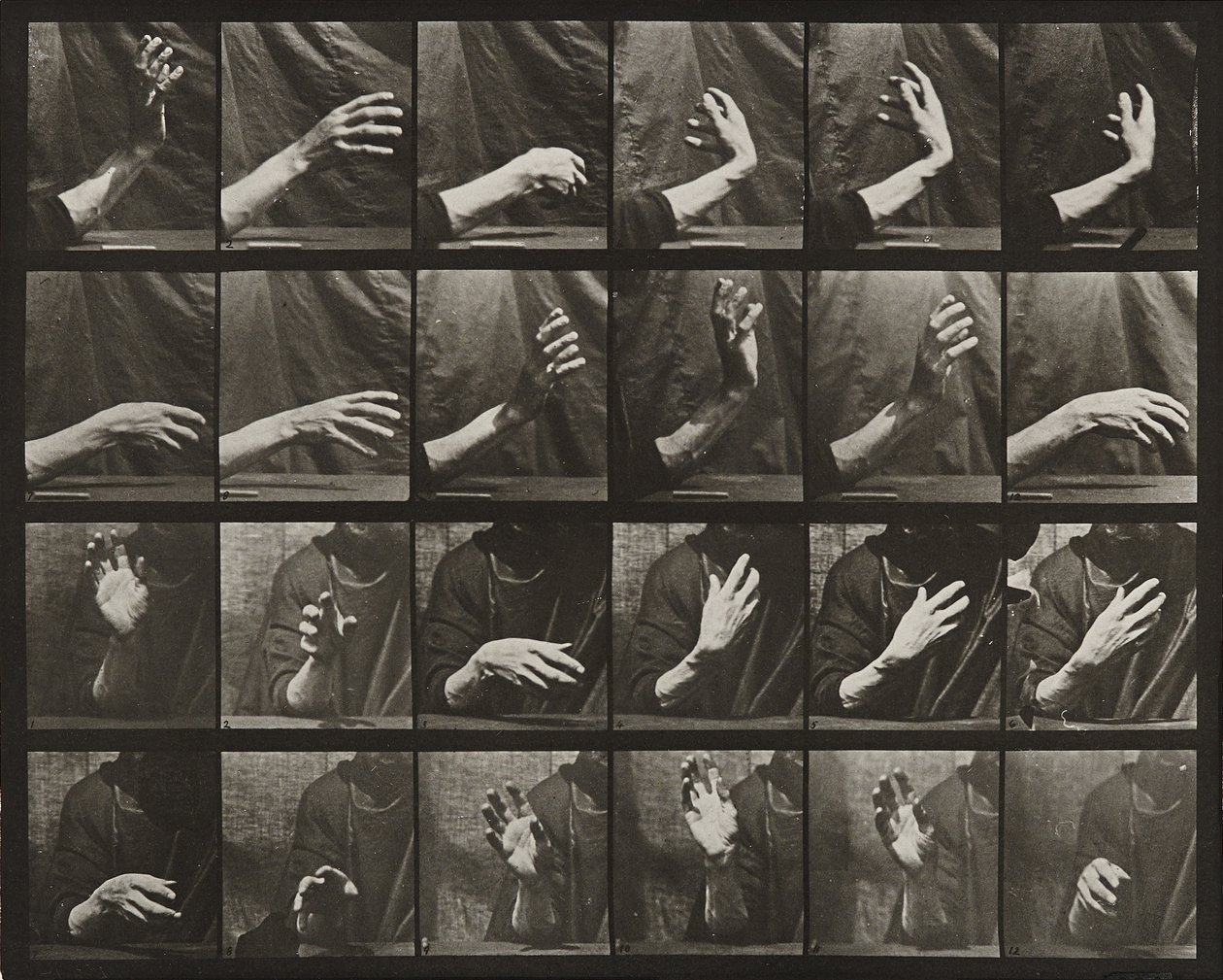 Pohyb ruky; čas bití od Eadweard Muybridge