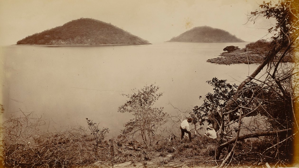 Perico a Flamenco - z ostrova Naos v Panamě od Eadweard Muybridge