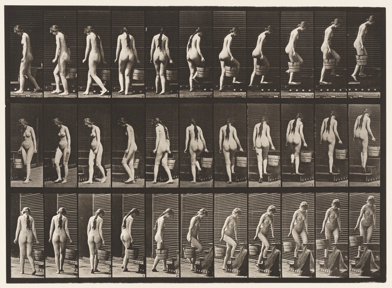 Talíř 102. Otáčivé a stoupající schody, vědro s vodou v Rt Hand, 1872-1885 od Eadweard Muybridge