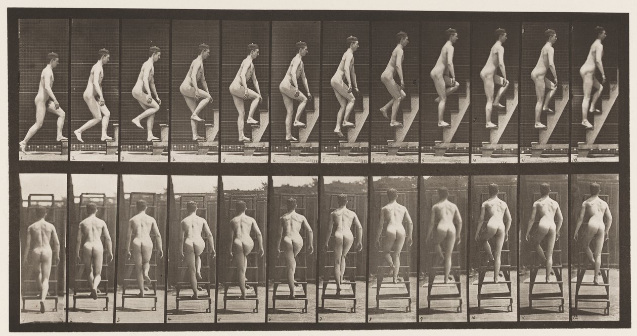 Deska 109. Stoupající žebřík, 1872-1885 od Eadweard Muybridge